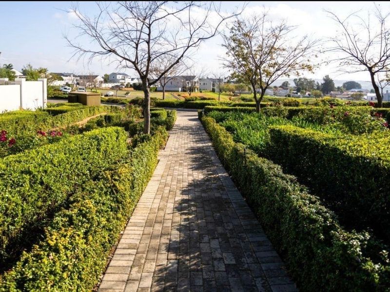 A well-maintained garden featuring a central paved walkway flanked by manicured hedges and mature trees within a residential estate setting.