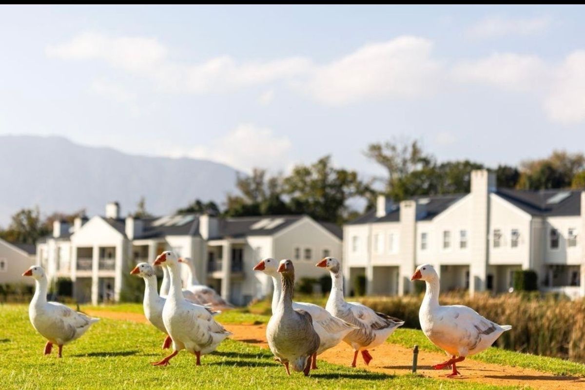 A scenic view of the townhouse complex exterior featuring well-maintained lawns and pathways, providing a peaceful residential atmosphere.