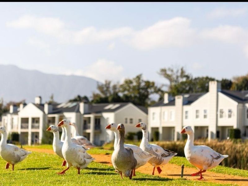 A scenic view of the townhouse complex exterior featuring well-maintained lawns and pathways, providing a peaceful residential atmosphere.