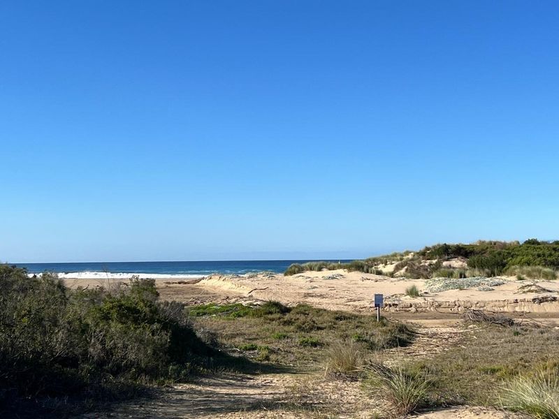 A scenic view of the coastal landscape featuring natural sand dunes, native vegetation, and a clear ocean horizon.
