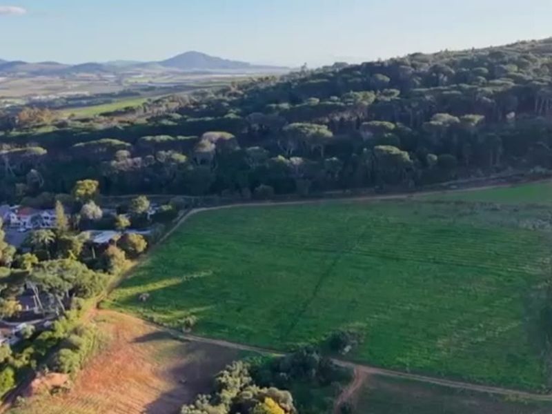 VACANT LAND FOR SALE | 958 m2 OF ENDLESS POSSIBILITIES! - Photo 3