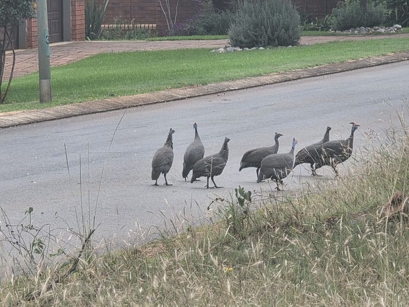 Vacant Land Residential For Sale In Rustenburg - Photo 10