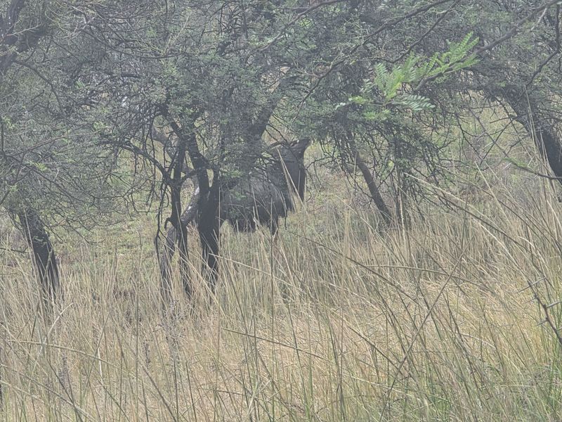 Vacant Land Residential For Sale In Rustenburg - Photo 9