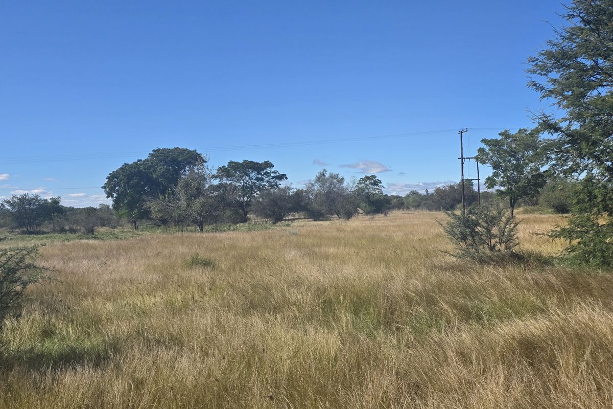 Prime Development Land - Photo 4