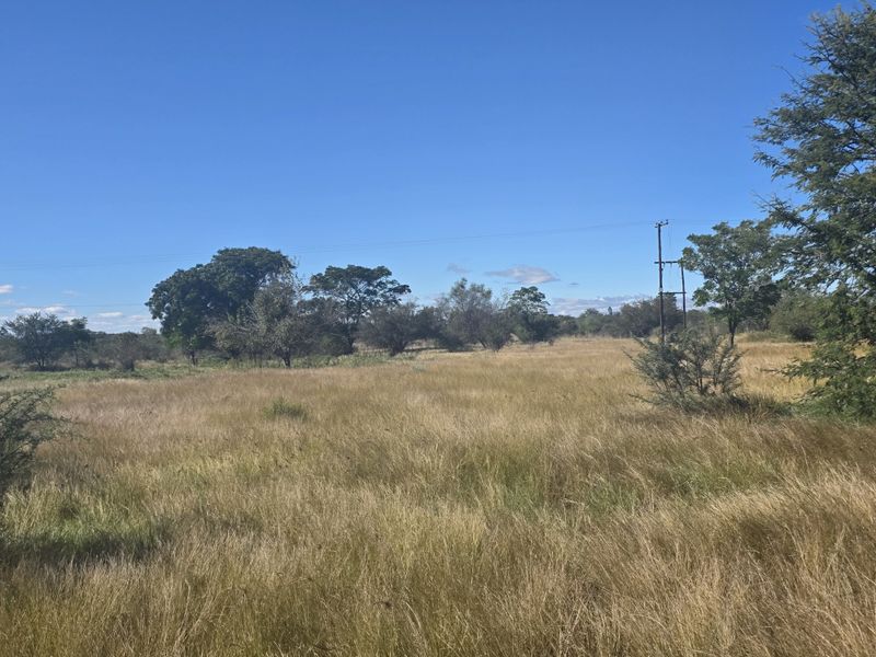 Prime Development Land - Photo 4