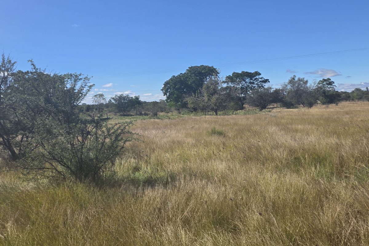 Prime Development Land - Photo 5