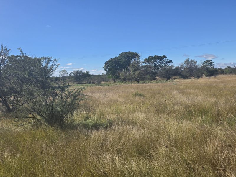 Prime Development Land - Photo 5