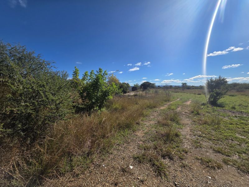 Prime Development Land - Photo 9