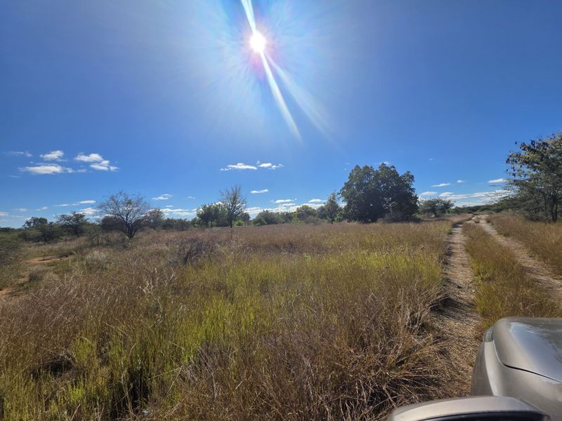 Prime Development Land - Photo 8