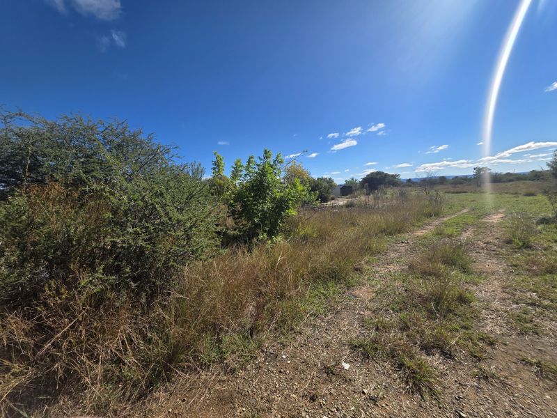 Prime Development Land - Photo 10