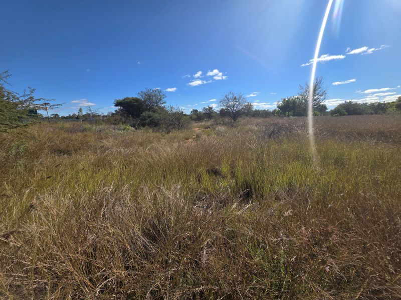 Prime Development Land - Photo 6