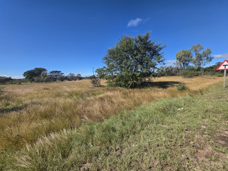 Prime Development Land - Photo 2