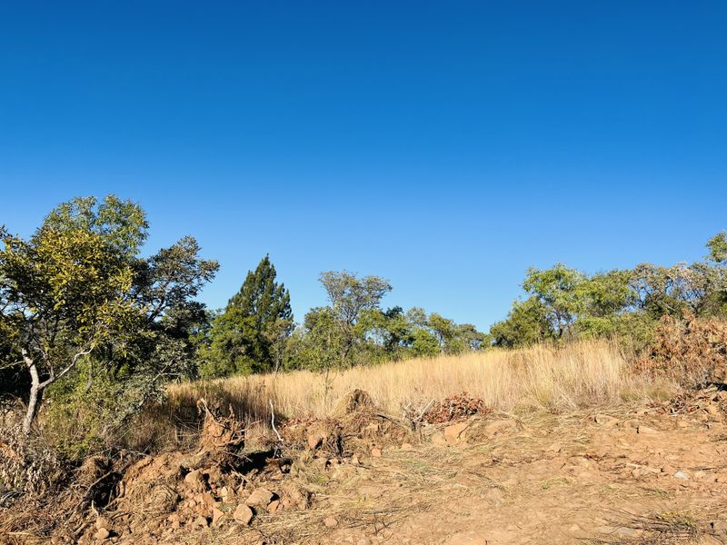 Vacant Land with Stunning Rustenburg Views - Photo 4