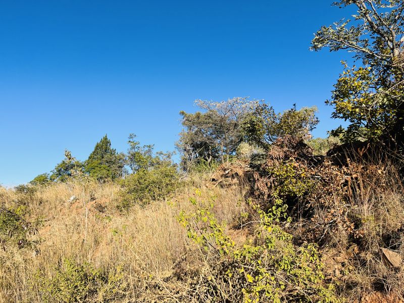 Vacant Land with Stunning Rustenburg Views - Photo 9