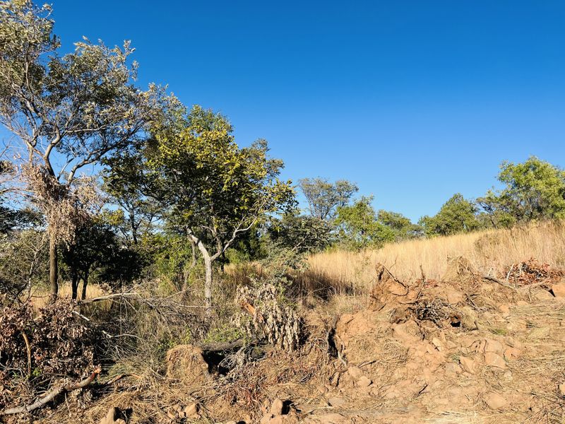 Vacant Land with Stunning Rustenburg Views - Photo 8