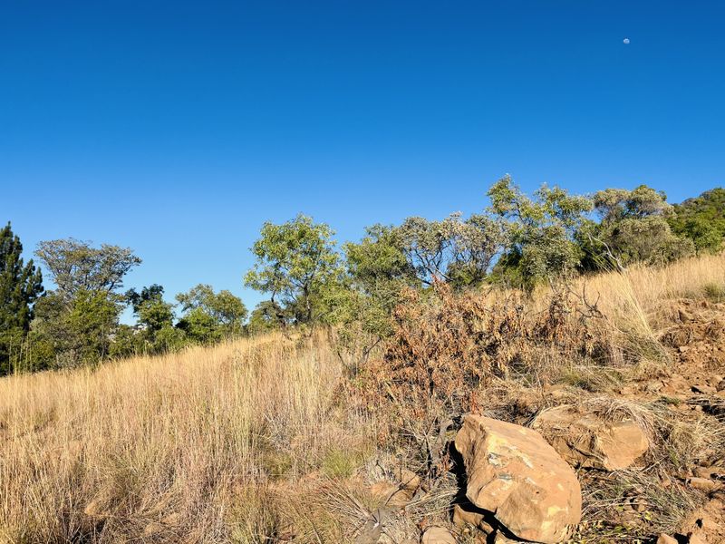 Vacant Land with Stunning Rustenburg Views - Photo 6