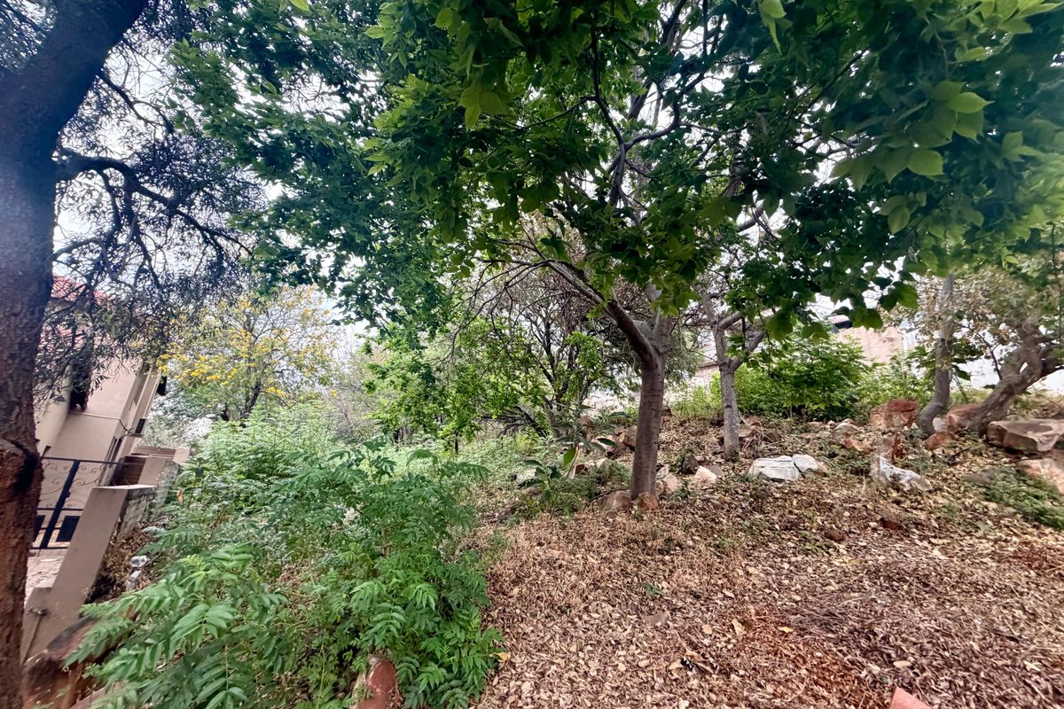 A view of the sloped, natural garden area featuring mature trees and rocky terrain, requiring landscaping and site clearing.