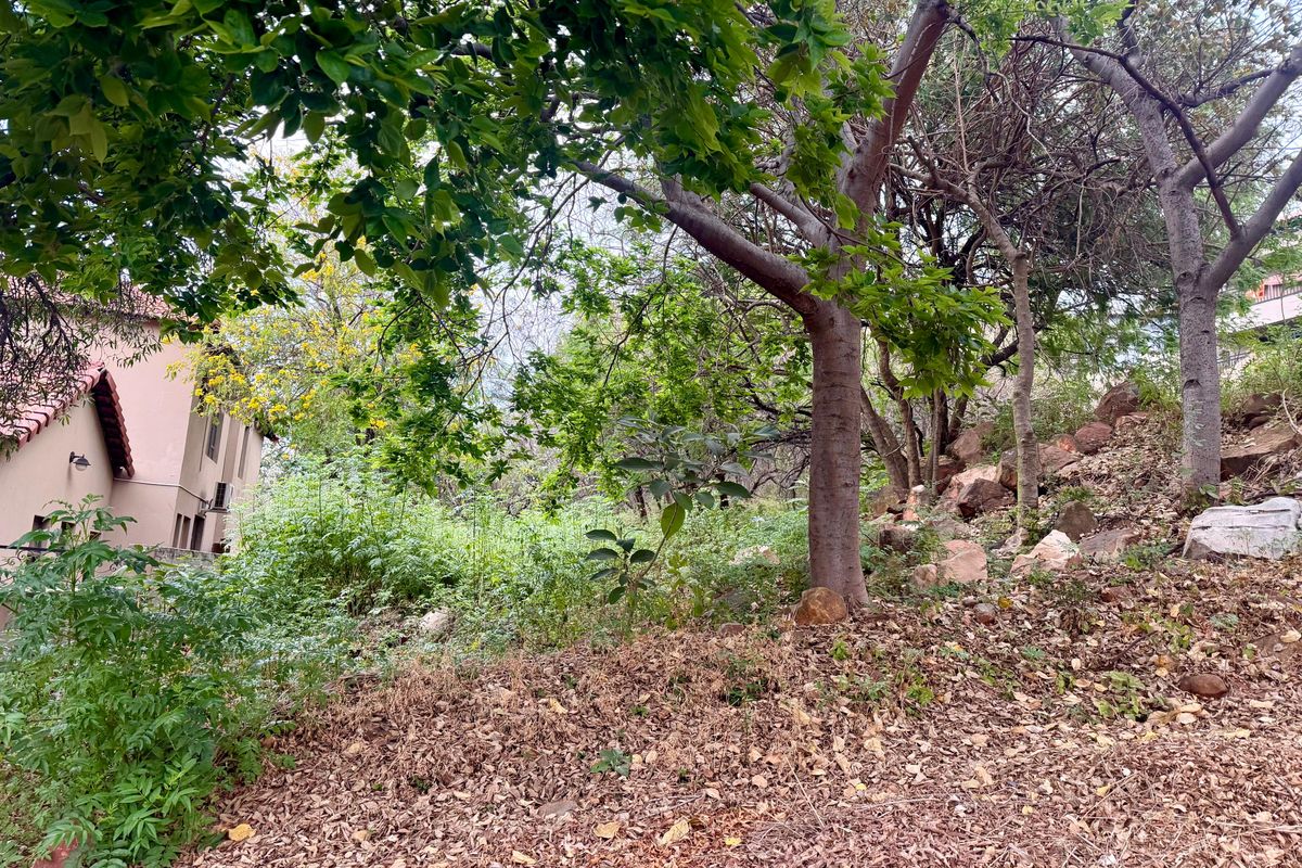 A sloped residential plot featuring mature trees and natural rocky terrain, adjacent to an existing residential structure.