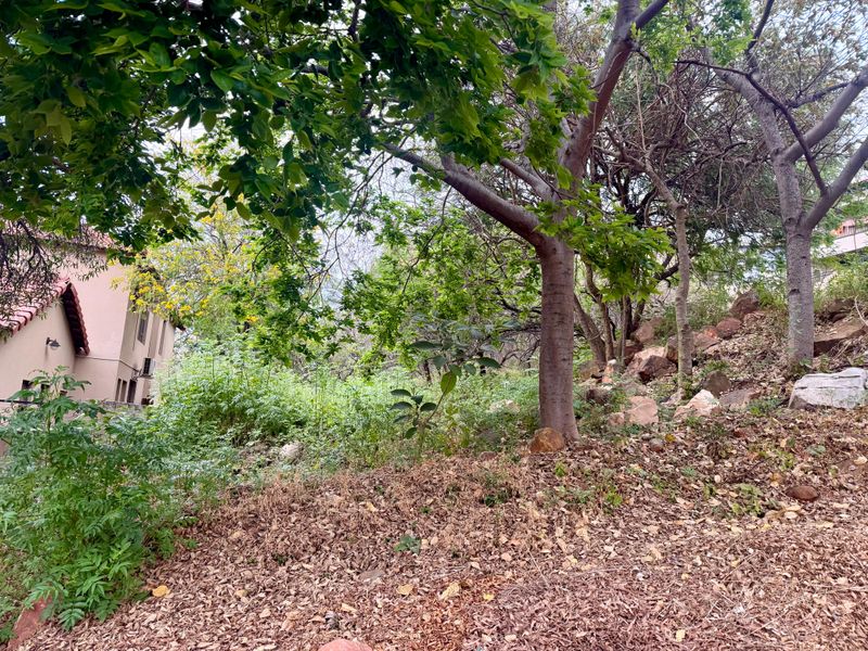 A sloped residential plot featuring mature trees and natural rocky terrain, adjacent to an existing residential structure.