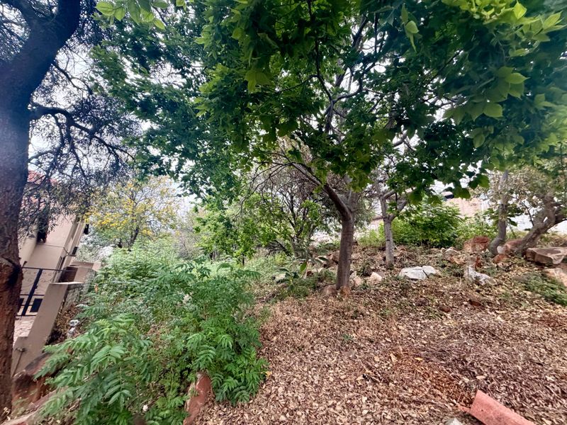 A view of the sloped, natural garden area featuring mature trees and rocky terrain, requiring landscaping and site clearing.