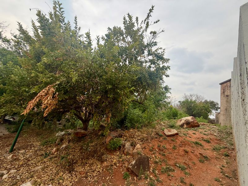 A view of a residential plot featuring mature trees, natural rock formations, and an existing boundary wall.