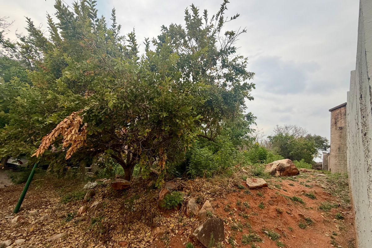 A view of a residential plot featuring mature trees, natural rock formations, and an existing boundary wall.