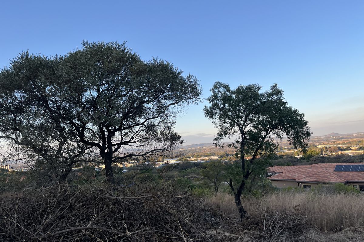 A scenic elevated view overlooking the surrounding landscape and residential area, featuring mature trees and natural vegetation on the vacant land.