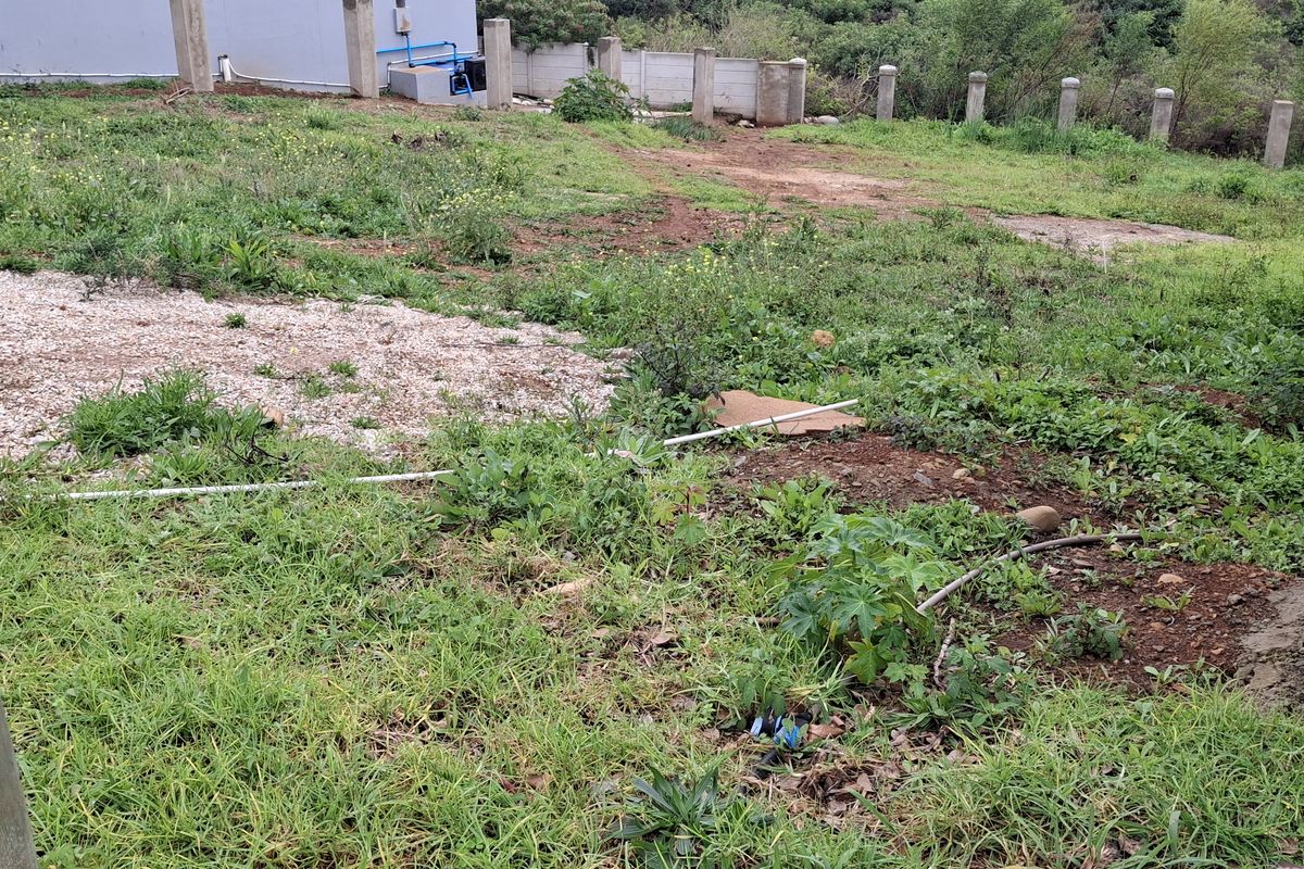 A view of a vacant residential plot featuring overgrown grass, concrete boundary pillars, and exposed utility piping on the site.