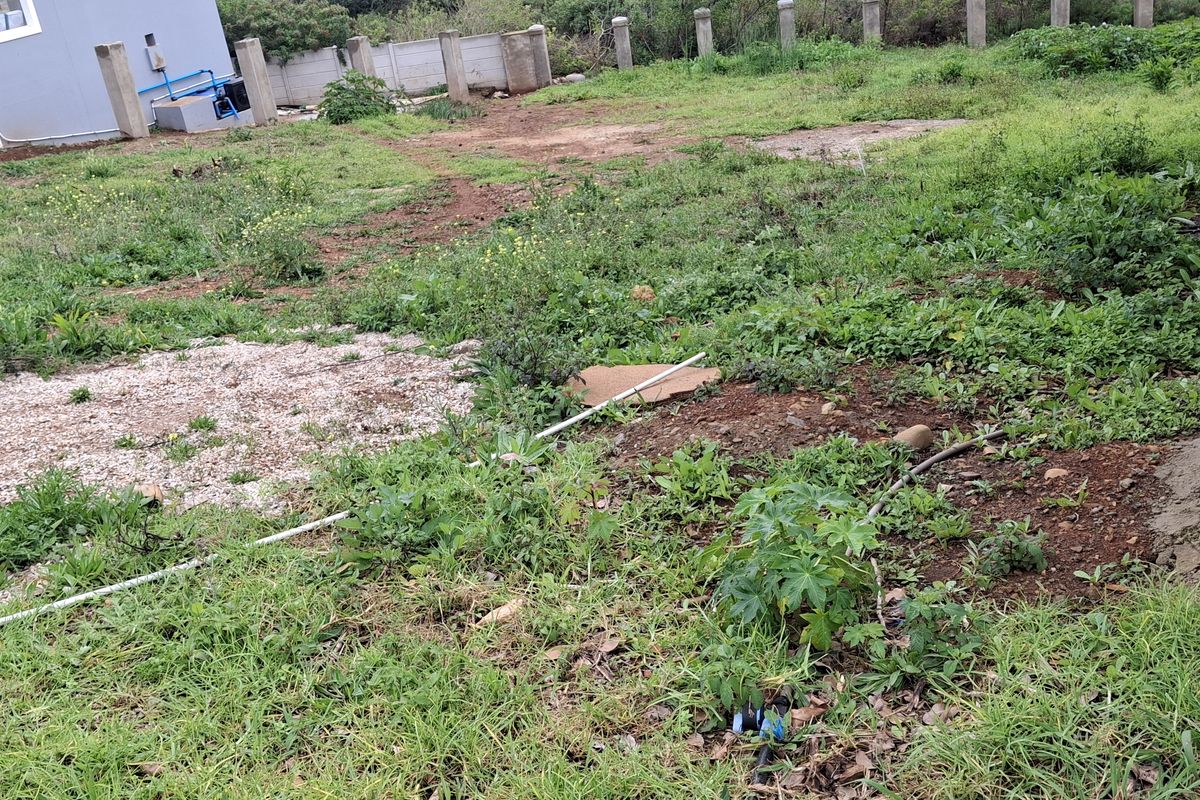 A view of a vacant residential plot featuring overgrown grass, exposed ground, and concrete boundary wall infrastructure.