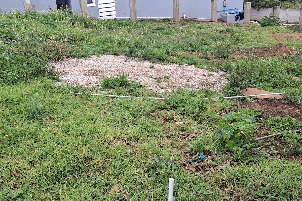 A view of an unmaintained residential plot featuring overgrown grass, exposed utility pipes, and concrete boundary pillars.
