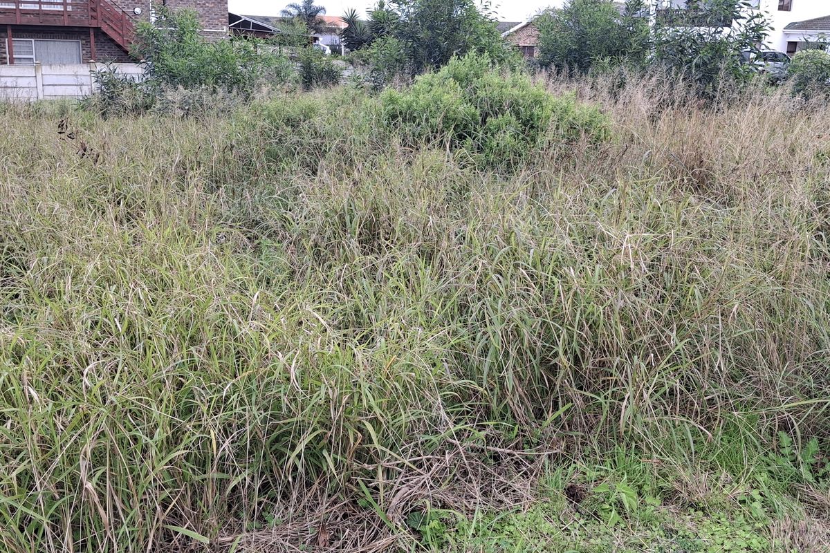 A vacant residential plot featuring overgrown grass and vegetation, enclosed by a boundary wall in a suburban setting.