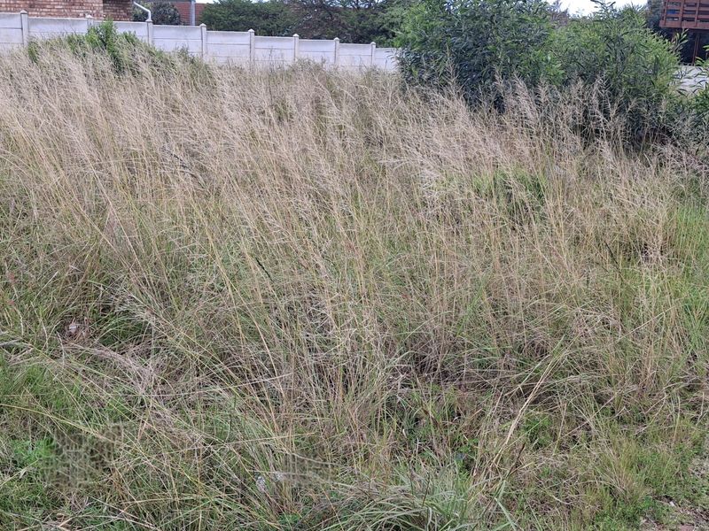 Upper areas of Wavecrest, Jeffreys Bay - GOING, GOING GONE!! - Photo 9