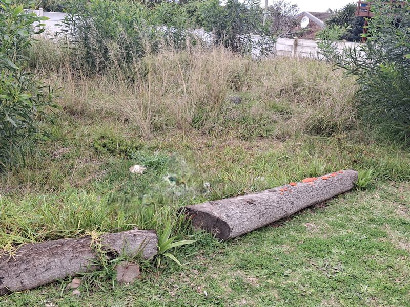 Upper areas of Wavecrest, Jeffreys Bay - GOING, GOING GONE!! - Photo 8