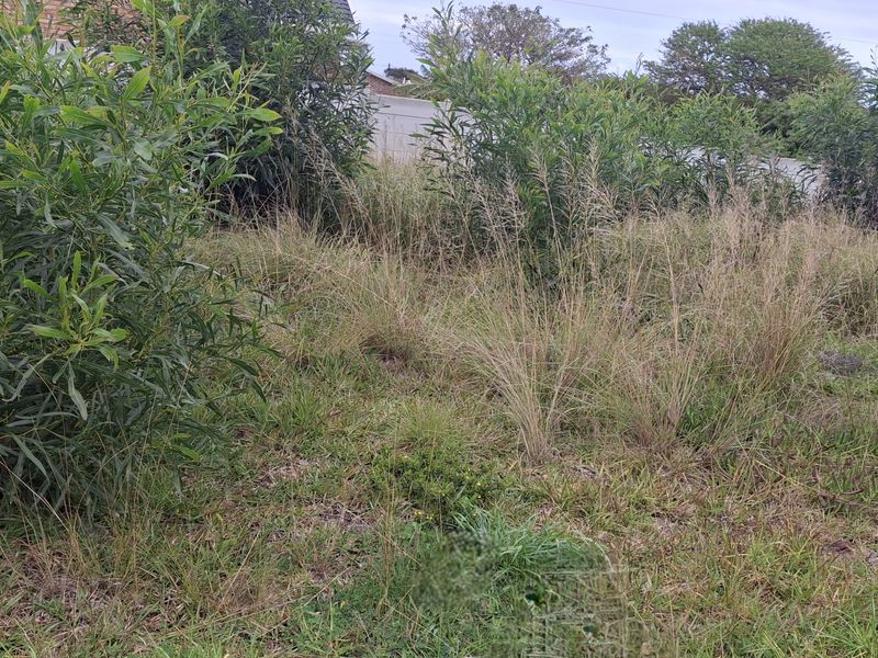 Upper areas of Wavecrest, Jeffreys Bay - GOING, GOING GONE!! - Photo 6