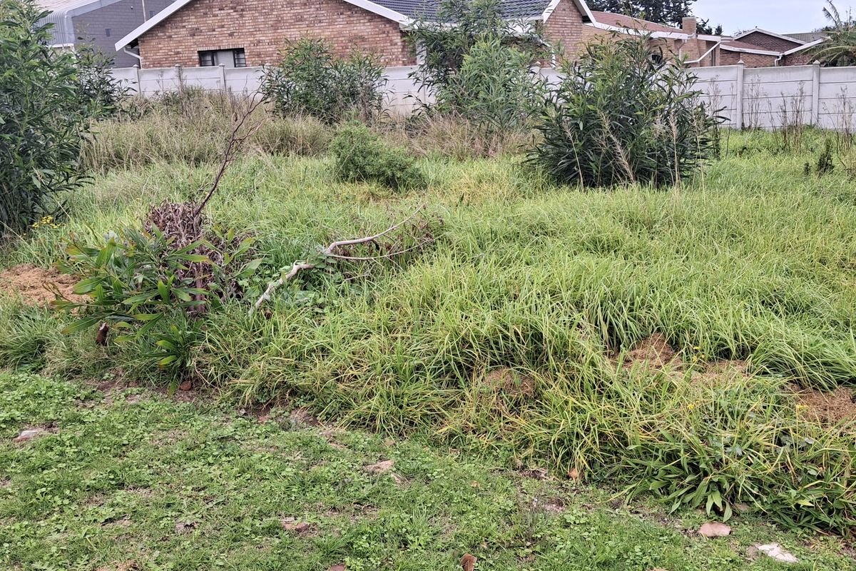 A vacant residential plot featuring overgrown grass and shrubs, enclosed by a precast concrete boundary wall.