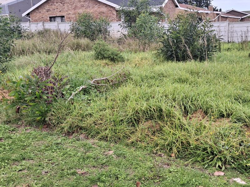 Upper areas of Wavecrest, Jeffreys Bay - GOING, GOING GONE!! - Photo 1