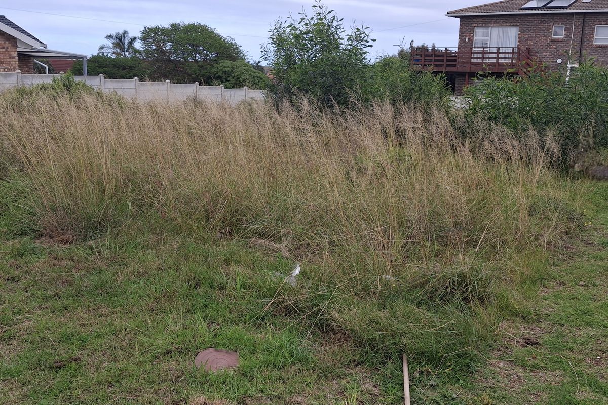 A vacant residential plot featuring overgrown grass and a precast concrete boundary wall, offering a blank canvas for future development.