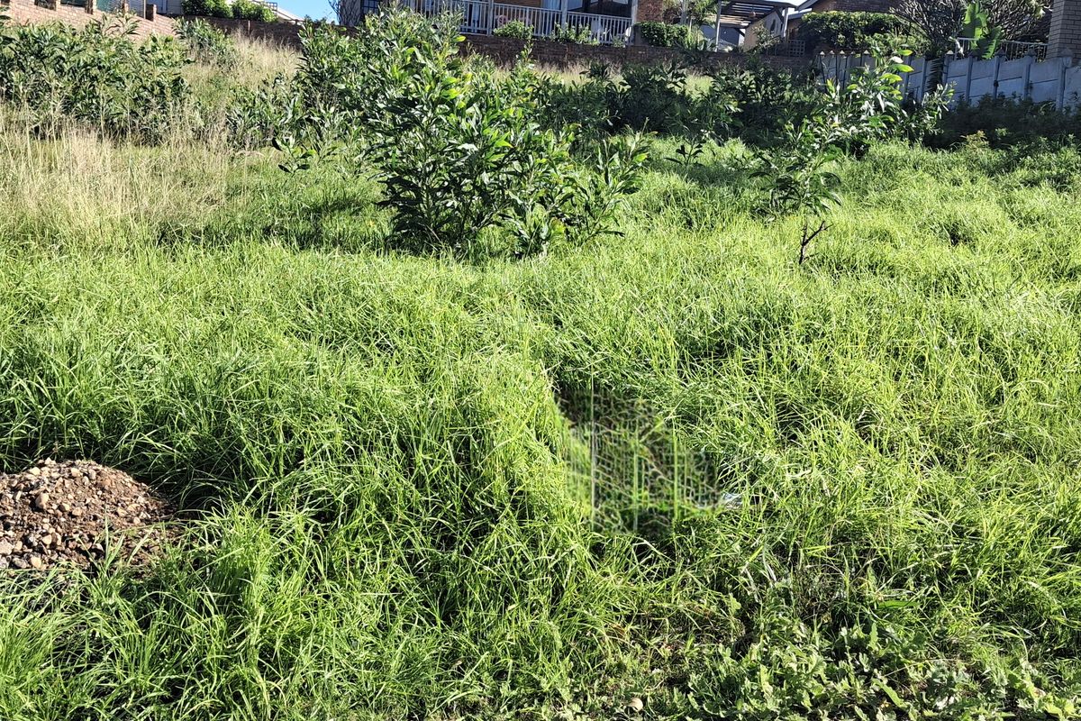 A sloped residential plot featuring overgrown grass and established shrubs, enclosed by boundary fencing and a retaining wall at the rear.