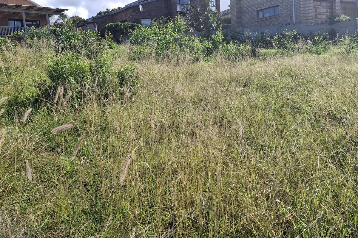 A view of an undeveloped residential plot featuring sloped terrain and overgrown grass, situated in a developed neighborhood.