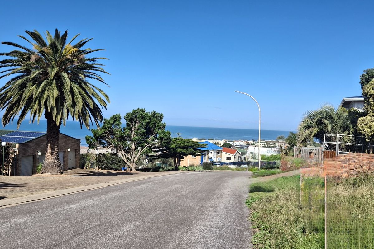 A street view of a residential area featuring a paved road, mature palm tree, and distant ocean views.