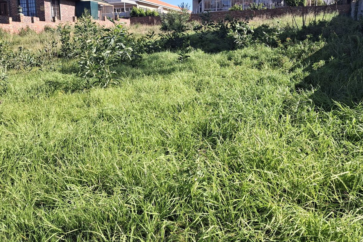 A sloped, undeveloped residential plot featuring overgrown grass and established boundary walls, offering potential for future landscaping or construction.