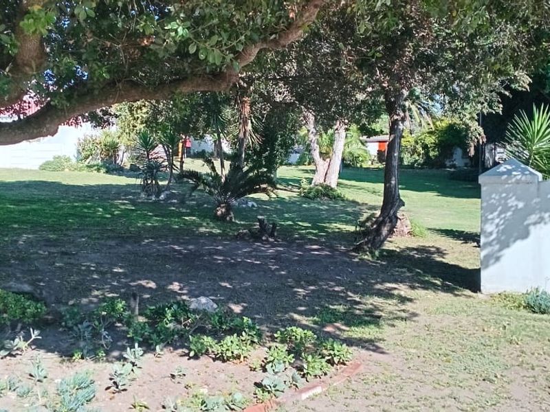 A spacious, well-maintained garden area featuring mature trees, landscaped beds, and a solid boundary wall with decorative pillar caps.