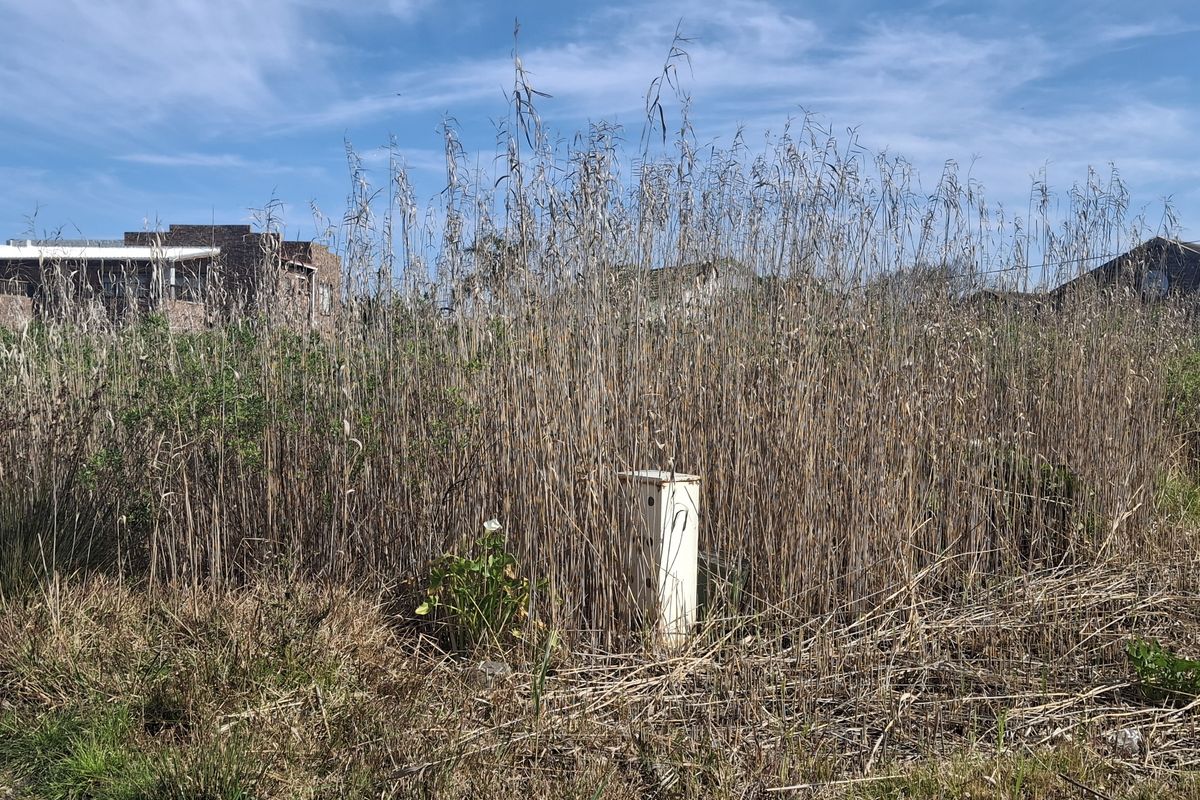 A vacant residential plot featuring overgrown vegetation and a visible utility connection box, situated in a developed neighborhood.
