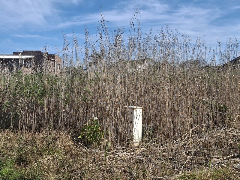 A vacant residential plot featuring overgrown vegetation and a visible utility connection box, situated in a developed neighborhood.