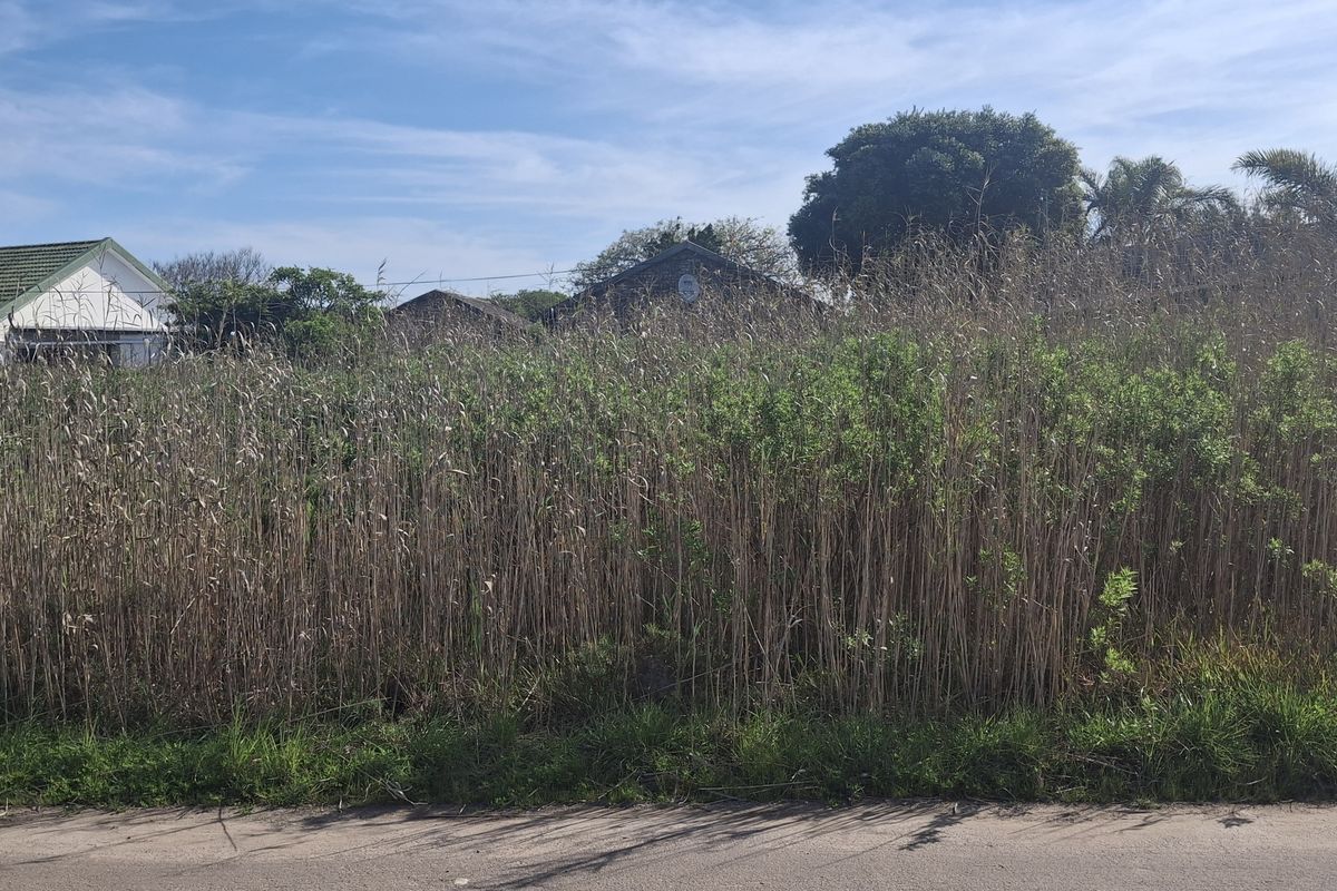 A view of a vacant residential plot featuring overgrown vegetation and direct access to a paved road.