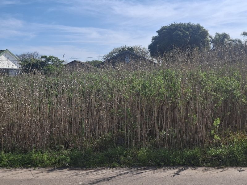 A view of a vacant residential plot featuring overgrown vegetation and direct access to a paved road.