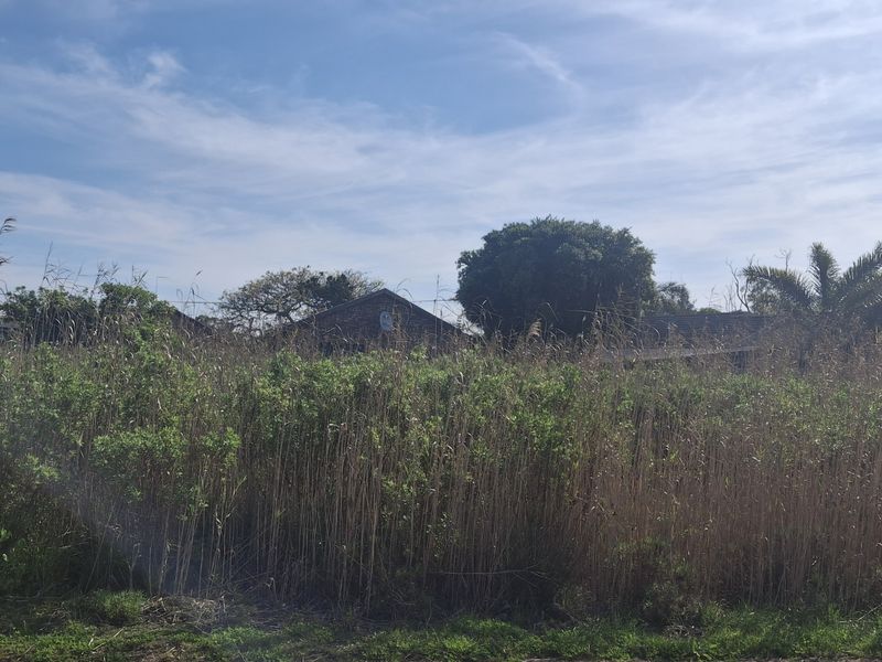 A view of a vacant residential plot covered in dense, overgrown vegetation, situated in a developed neighborhood.