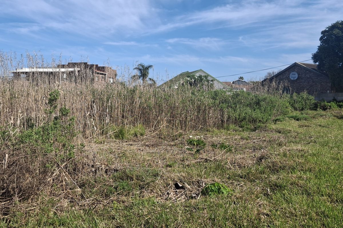 A vacant residential plot featuring overgrown grass and reeds, bordered by a boundary wall with surrounding neighborhood residential structures visible in the background.