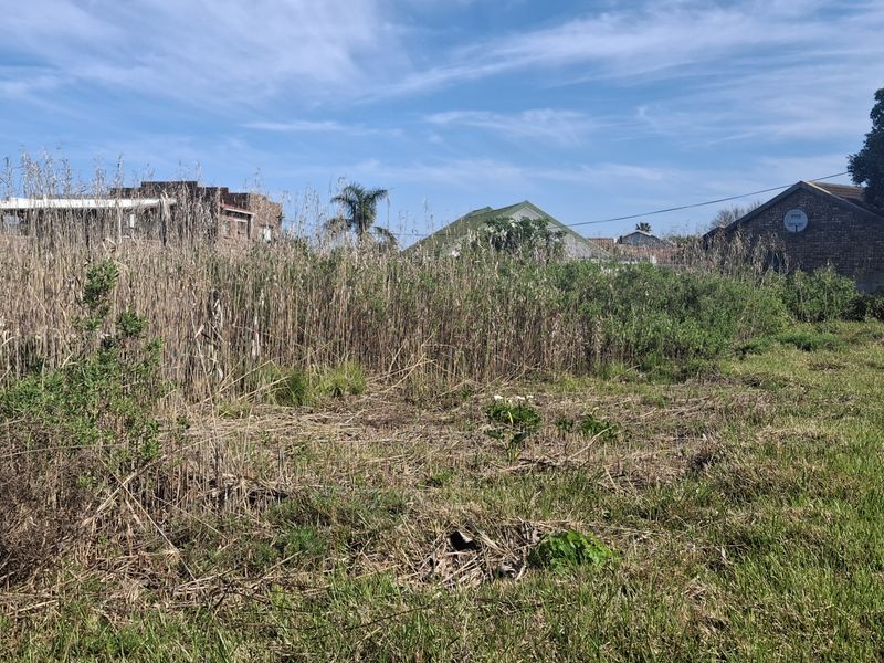 A vacant residential plot featuring overgrown grass and reeds, bordered by a boundary wall with surrounding neighborhood residential structures visible in the background.