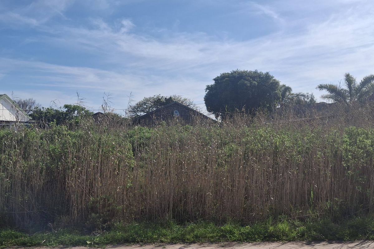A view of a vacant residential plot covered in dense, overgrown vegetation, situated in a developed neighborhood.